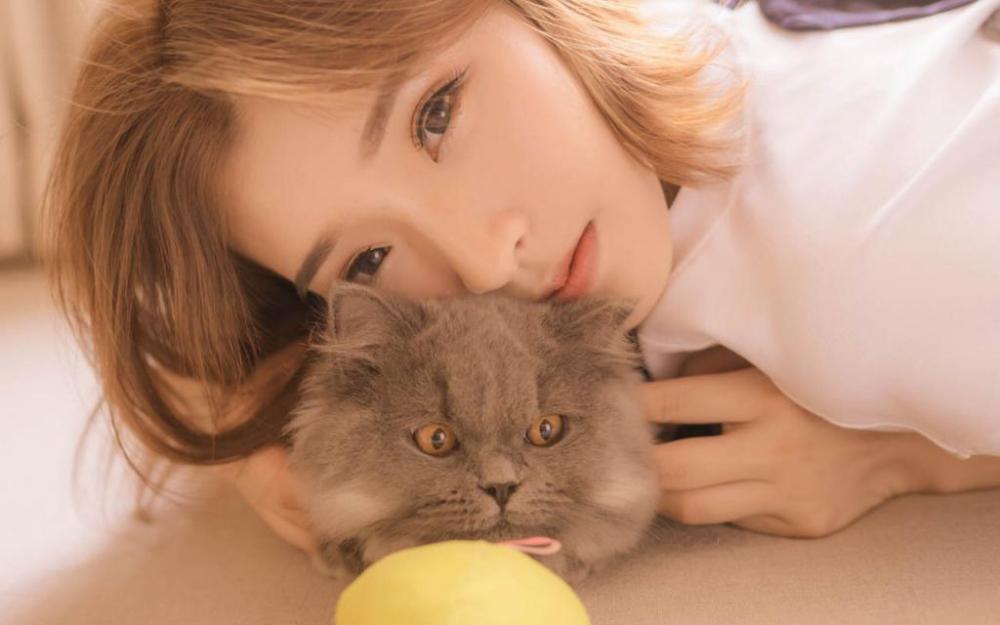 老师的教诲作文